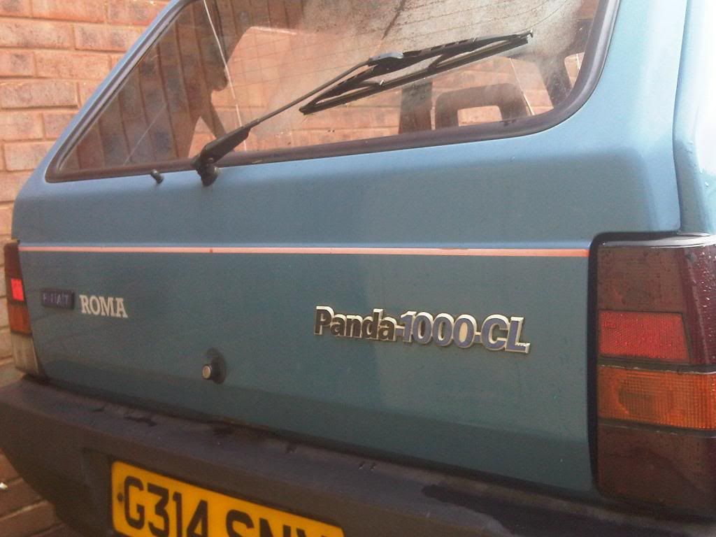 IMG01206-20101228-1233.jpg