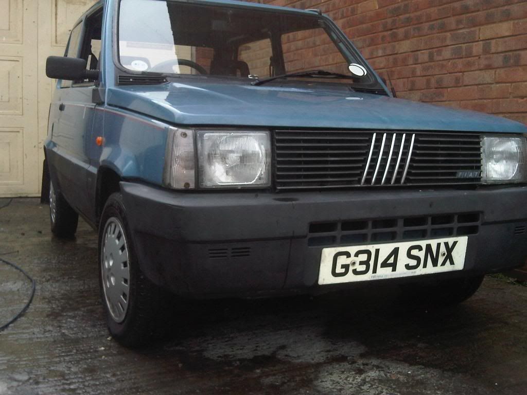 IMG01210-20101228-1244.jpg