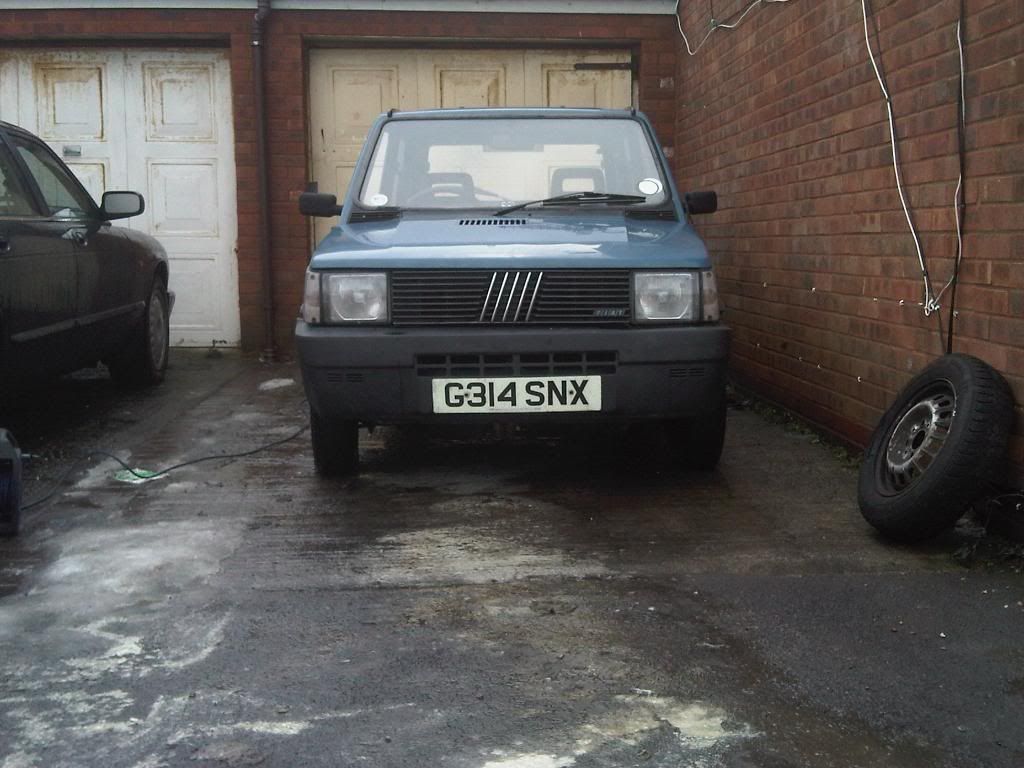 IMG01211-20101228-1244.jpg