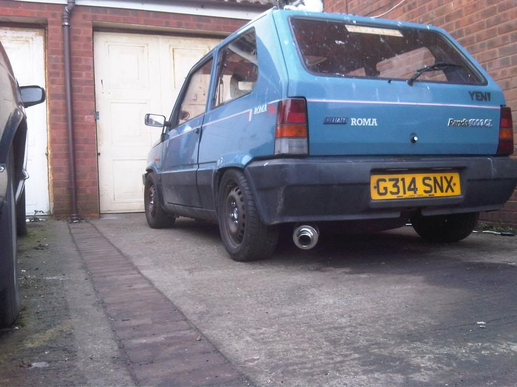 IMG01286-20110217-1317.jpg