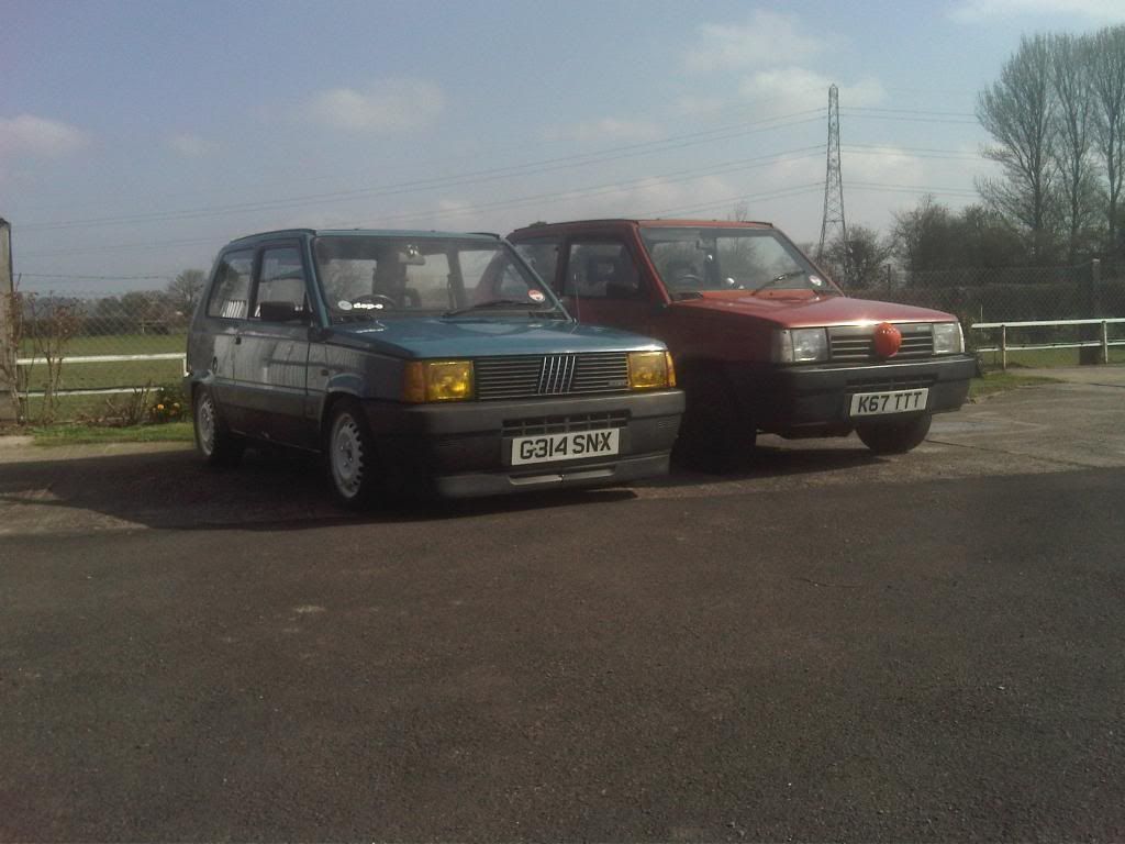 IMG01371-20110320-1047.jpg