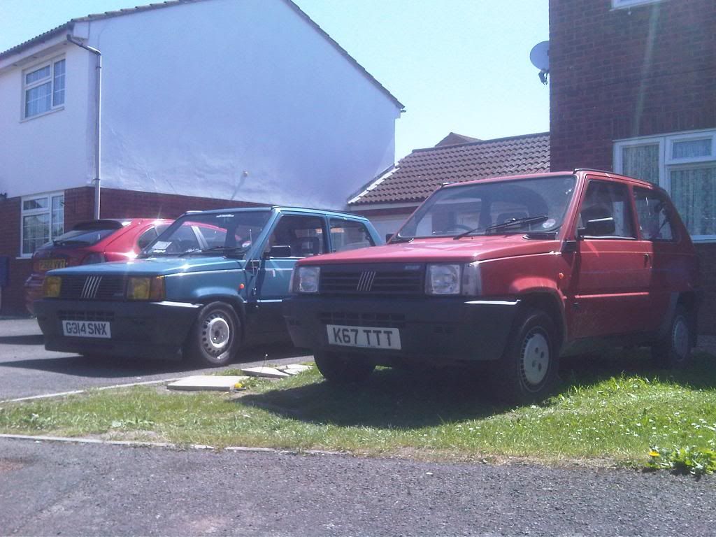 IMG01468-20110512-1338.jpg