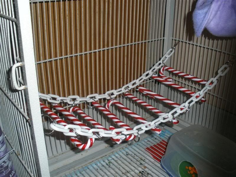Candy Cane Bridge Graphics Code | Candy Cane Bridge Comments ... Candy Cane Bridge Graphics Code | Candy Cane Bridge Comments ...
