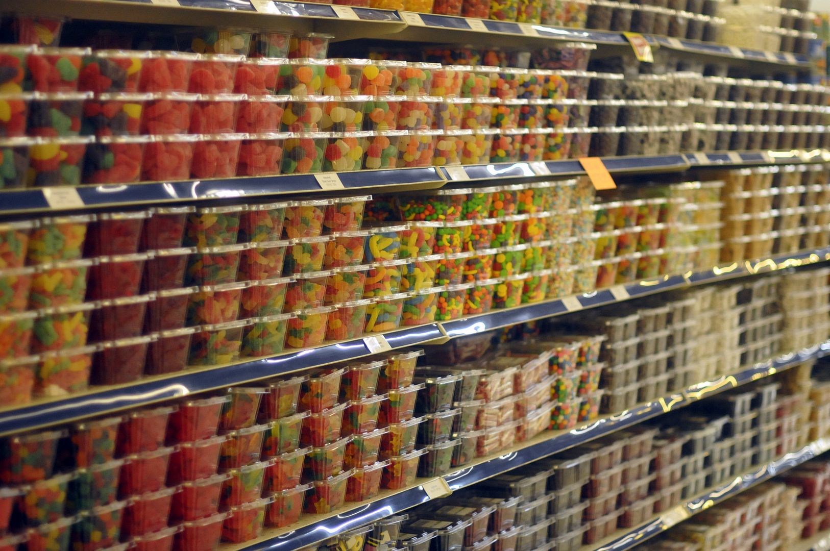  photo DSC_0840_zps2f8014ab.jpg