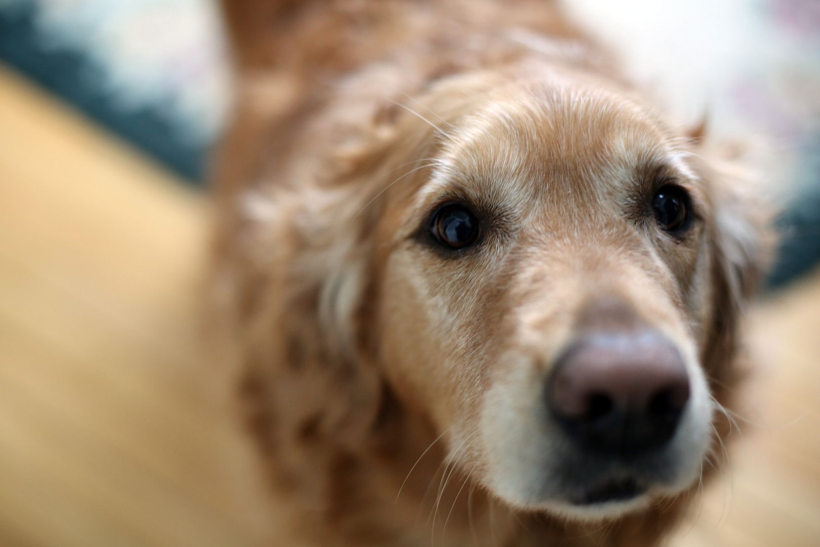  photo beautifulboy_zpsa6f47a22.jpg