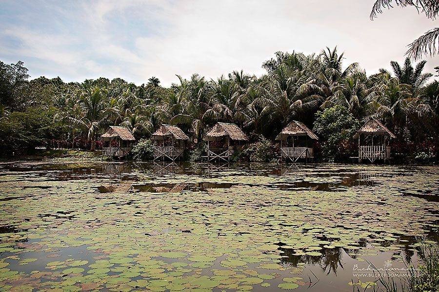 Fri - Aug 16, 2013 photo Crocodile-farm-1_zps618e564c.jpg