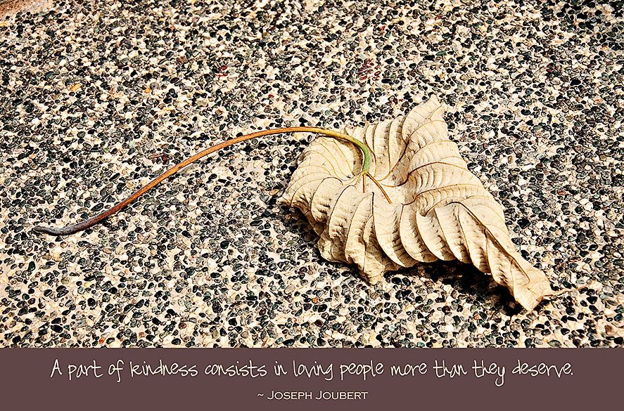 Fri - Oct 25, 2013 photo Leaf-with-quote-1_zpsb852ba68.jpg