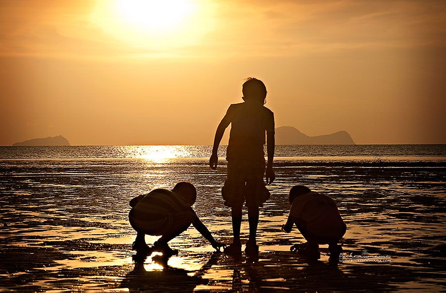 Fri - Sep 6, 2013 photo Silhouette-Boys-hermit-crabs-1_zps494ae78f.jpg