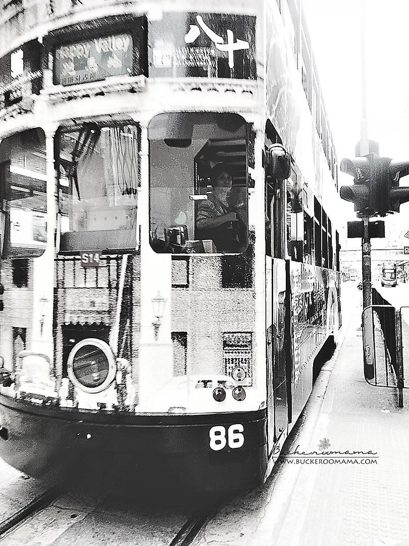 Thu - Sep 19, 2013 photo Tram-1_zps9a0f1fff.jpg