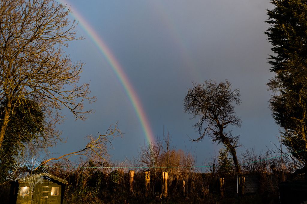 Fri 8. Feb, Rainbow always go somewhere... on my way to that pot of gold!