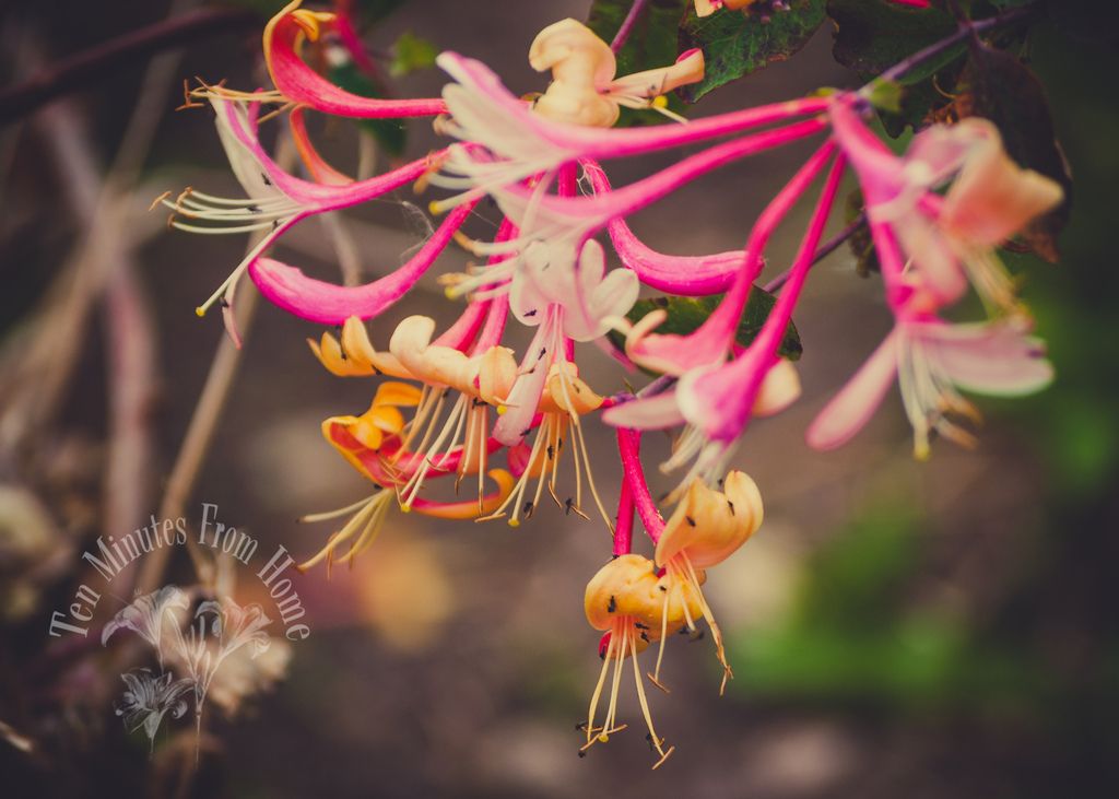 Thurs June 27th photo 9098493666_2cd9784d8d_b_zps242684be.jpg