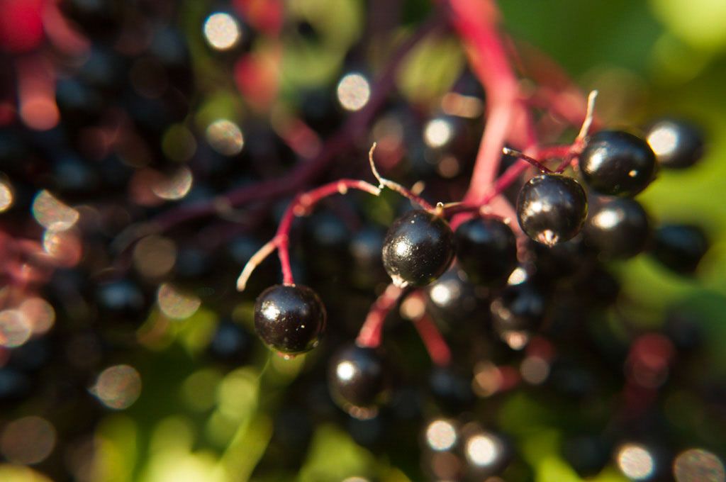 Fri Sept 27th photo 9942479263_3ab174bb1a_b_zps5dd6ab98.jpg