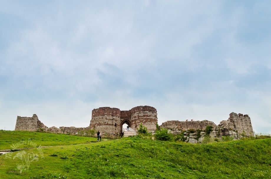 Mon June 3rd photo p1677783220-5_zpsce2e3486.jpg