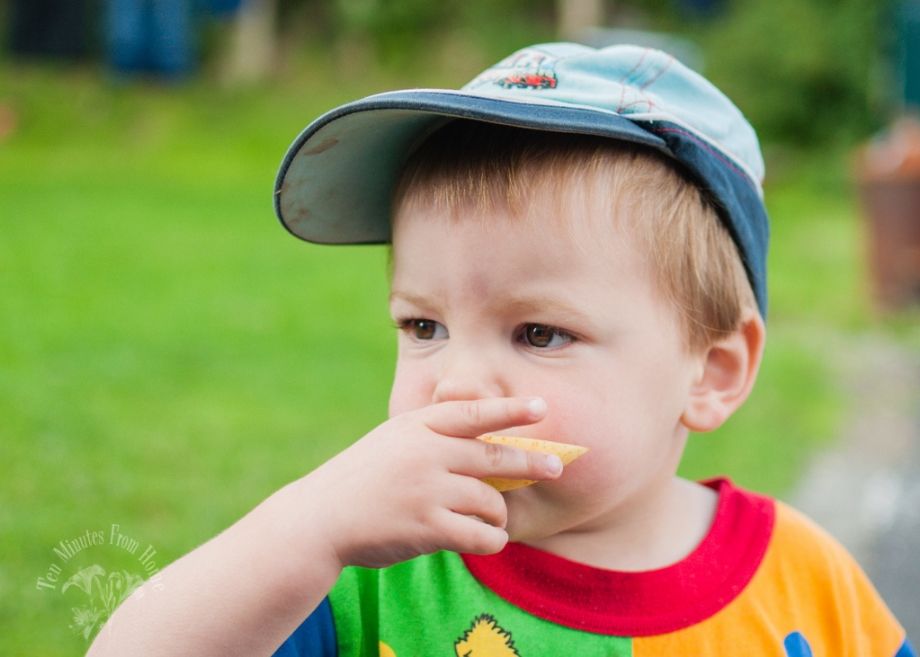 Fri. Aug 16th photo p1721454784-5_zps1b758cc5.jpg