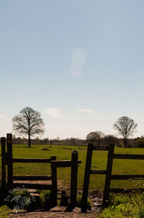 Thurs. May 9th photo untitled-4542_zps8df1e7f3.jpg