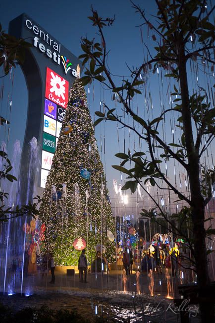 DEC 13: Christmas has come to Chiang Mai! photo _1050728_zps9aec3445.jpg