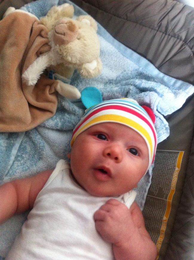 NOV 8 photo hazhat_zps20510724.jpg