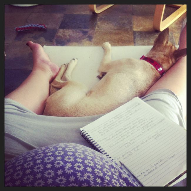 AUG 30: I'm working, I promise! Preggo belly & puppy protector and all. photo photo21_zps20c8626a.jpg