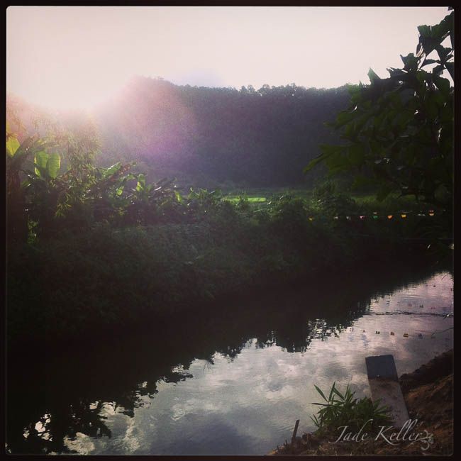 JULY 19 photo photo6_zpsaa5ae7d9.jpg