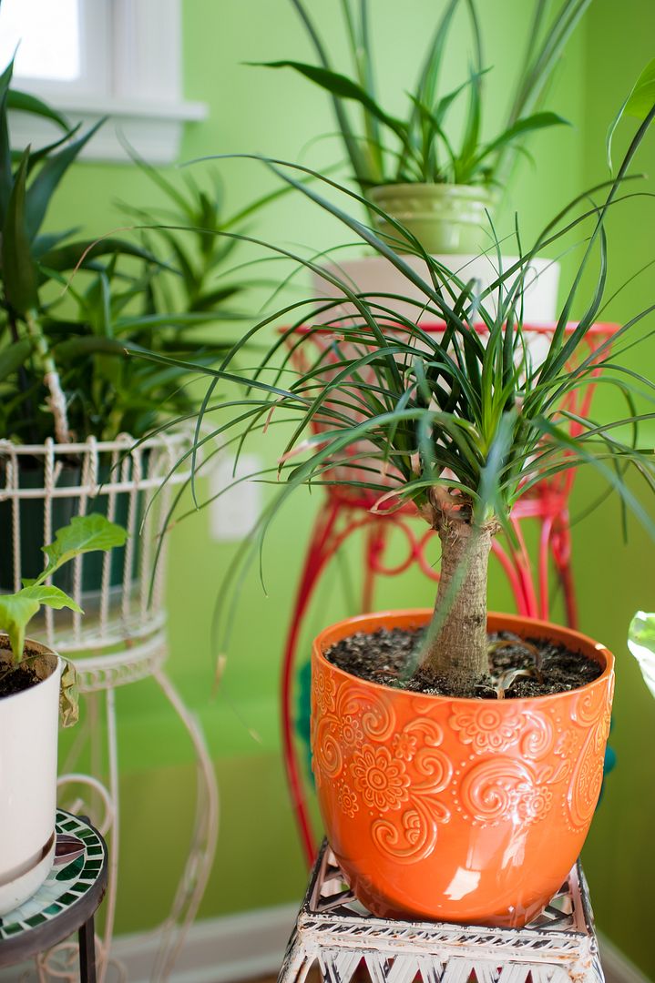 Thurs.  May 16. 2013 photo VBSehere_0030_zpsee33a47e.jpg