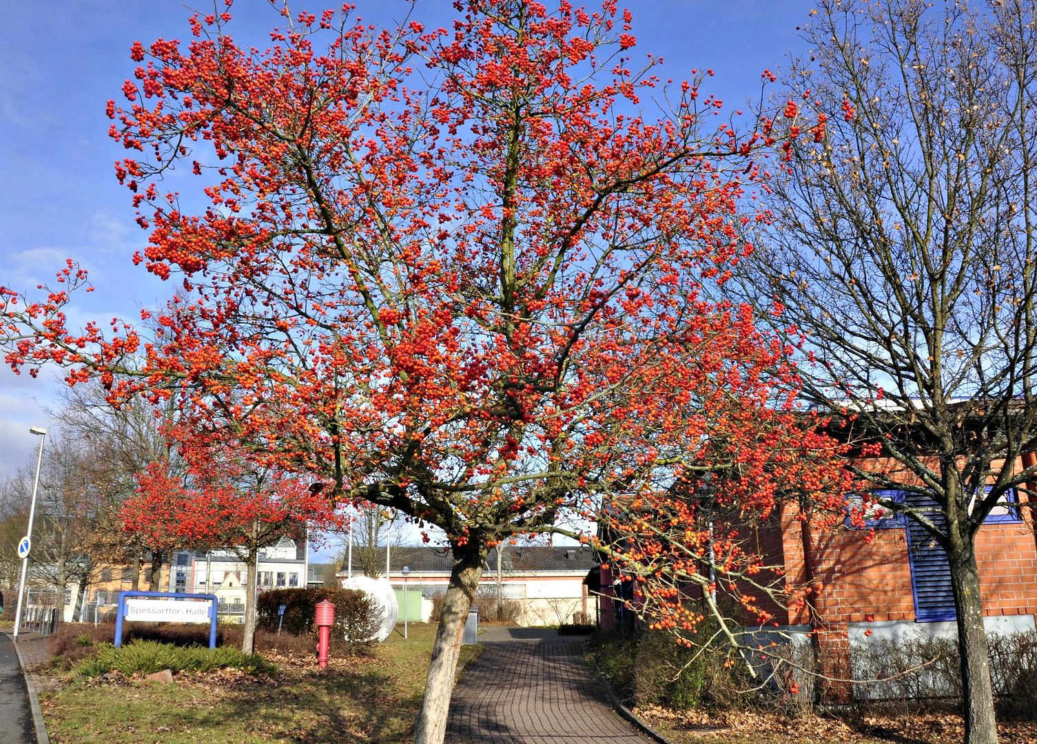 04.02.12, Sunshine and blue skies, enough to make me smile..