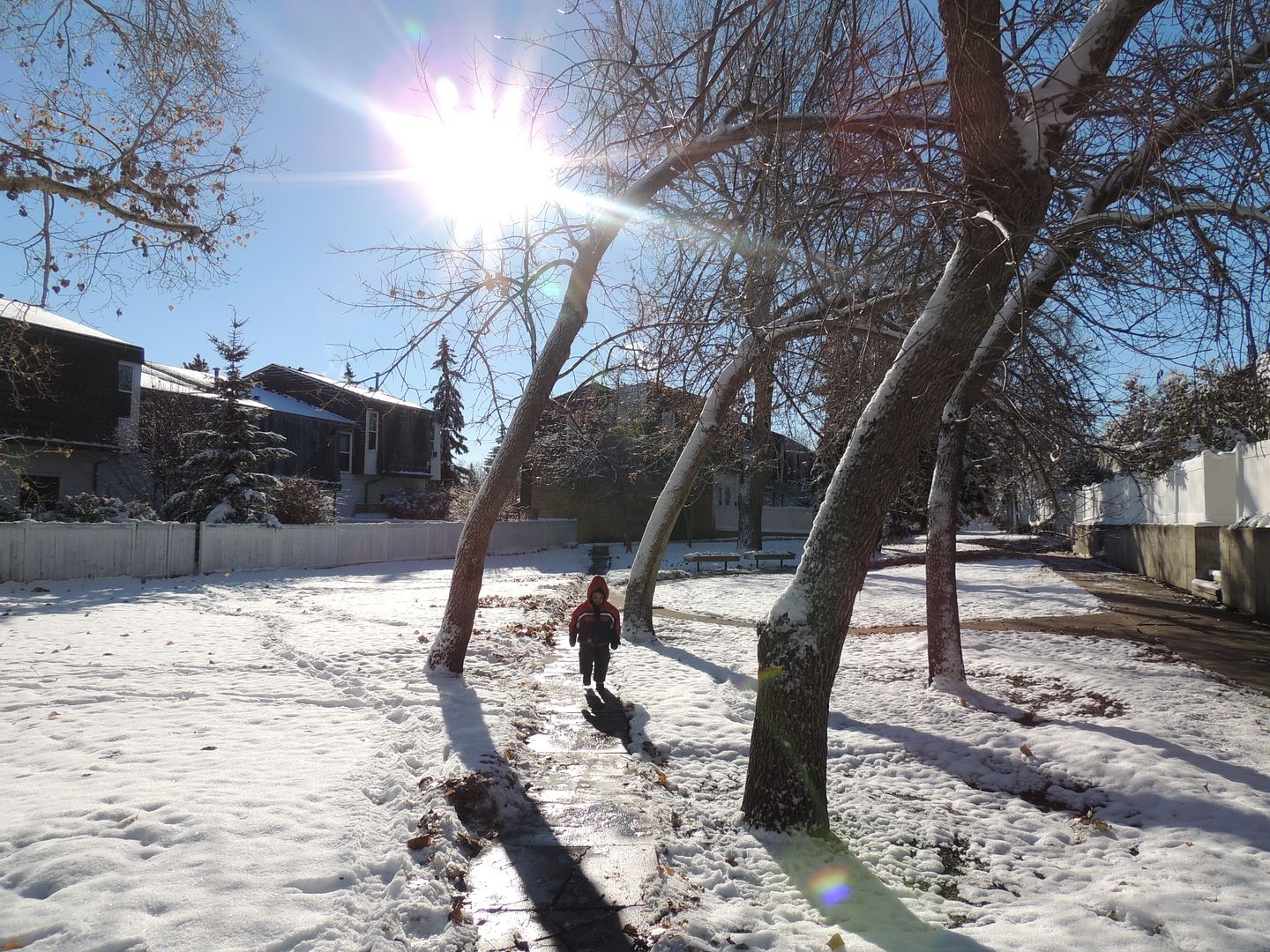 Nov 7, 2013 photo DSCN7332_zpscf02b6aa.jpg