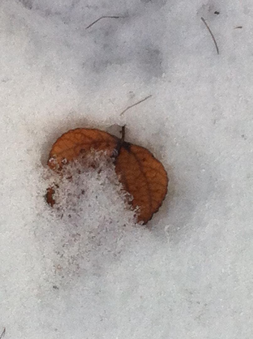 dec 13 photo frk1_zpsada6087b.jpg