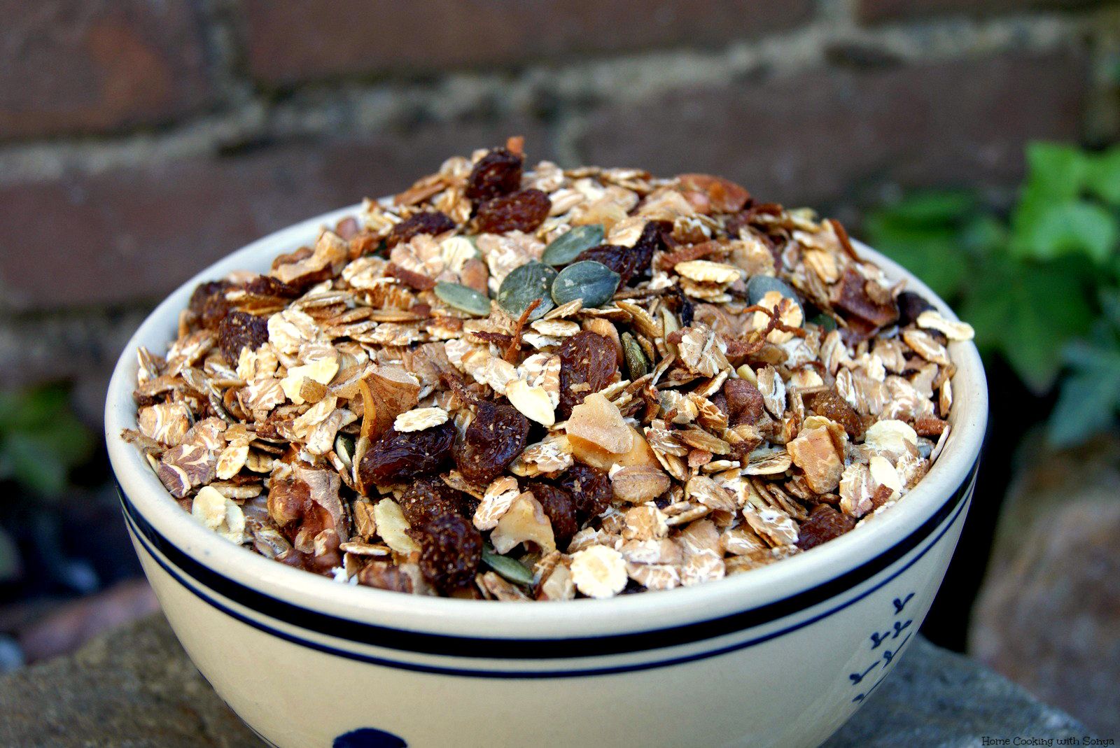 Fri June 28,2013 photo walnutraisingranola_zps62740b1c.jpg