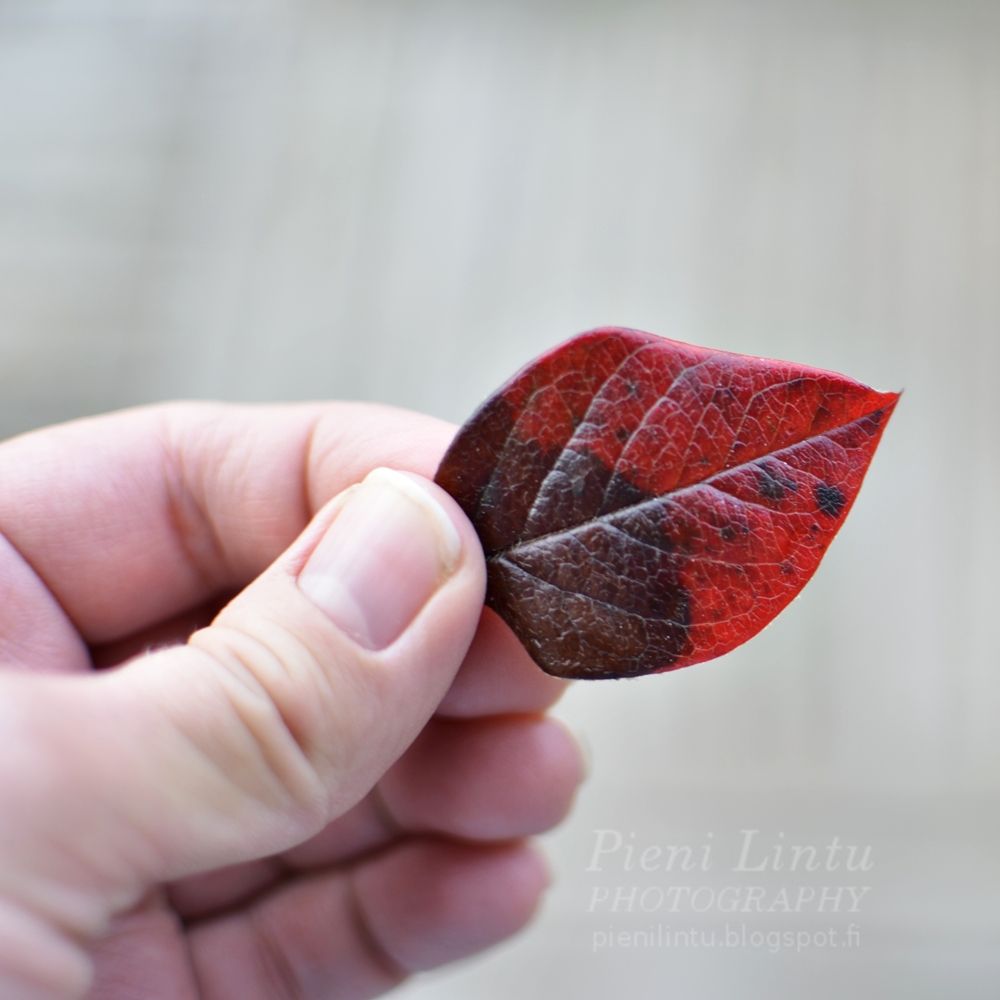 Fri - November 01, 2013 photo Fri-November012013_zps90f8e423.jpg