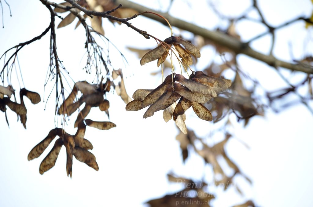 Fri - November 08, 2013 photo Fri-November082013_zpsca6da7eb.jpg