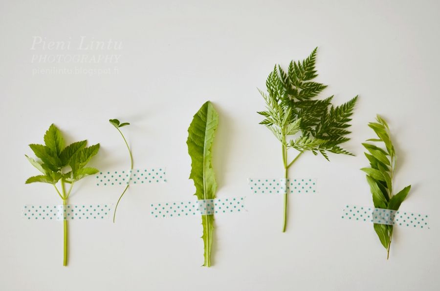 Thu - July 11, 2013 photo Thu-July112013_zps3e15340f.jpg