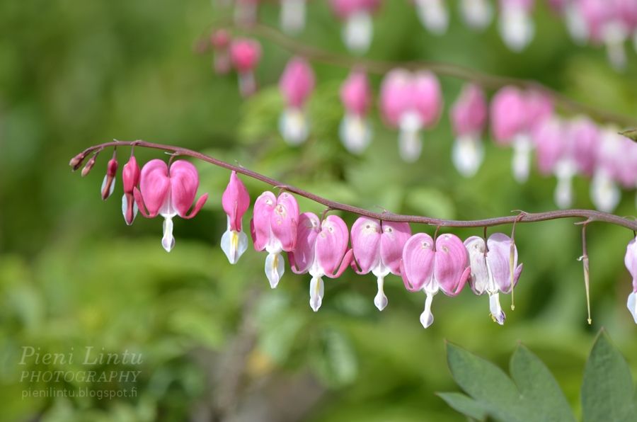 Thu - June 27, 2013 photo Thu-June272013_zps1d12dcbf.jpg