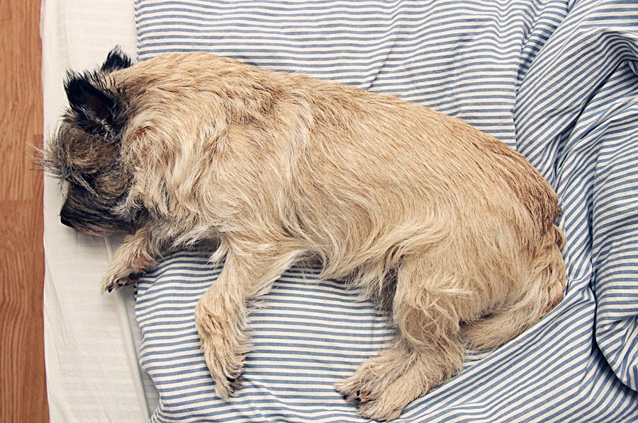 Fri - July 26, 2013 photo 130721_4_cg_zpse4157a73.jpg