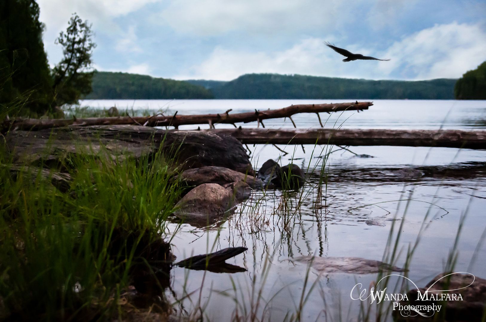 Fri July 26, 2013 photo 187MACMAC2013014wm_zps194a71d4.jpg