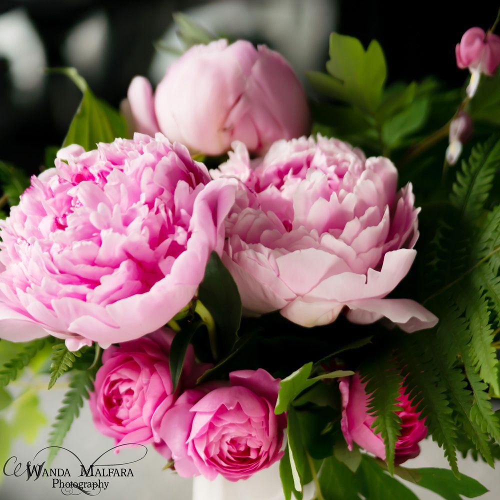 Fri June 21, 2013 photo DSC_7754-2fb_zpsaaa27e8d.jpg