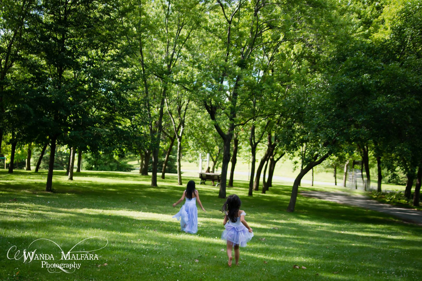 Fri Aug 16, 2013 photo DSC_8344wmfb_zps61591707.jpg