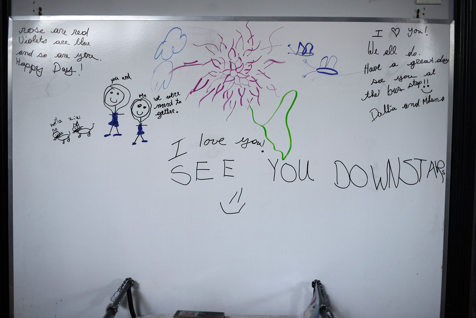 Fri Sept 27, 2013 photo _DSC9491fb_zps69567d61.jpg