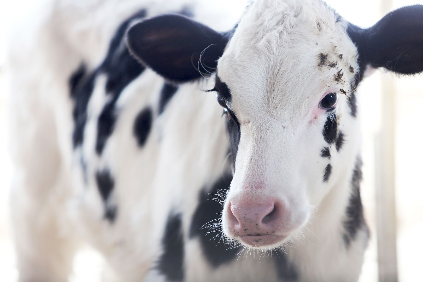  photo 8M8A0017_zpsfc7789f5.jpg