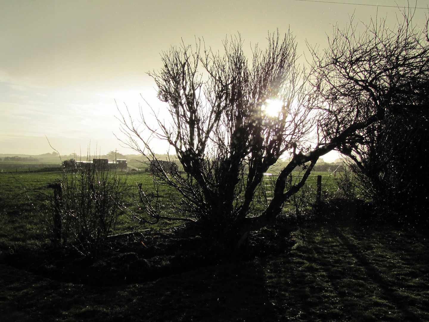  photo IMG_6792_zps2f675ee1.jpg