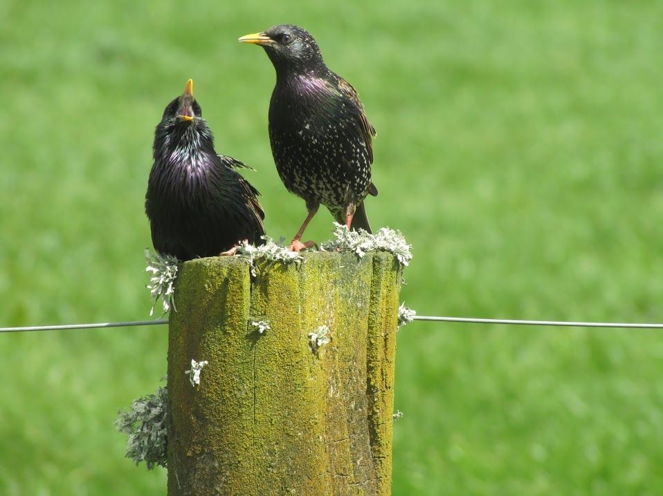  photo IMG_7216_zpsbab9e607.jpg