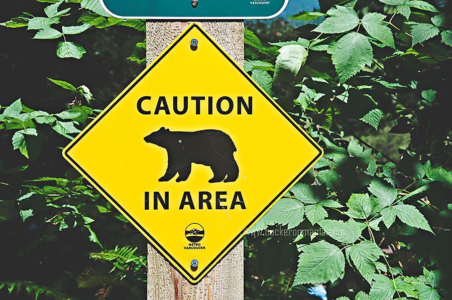 Mon - Aug 18, 2014 photo Bear-caution-1_zps4ad83ac2.jpg