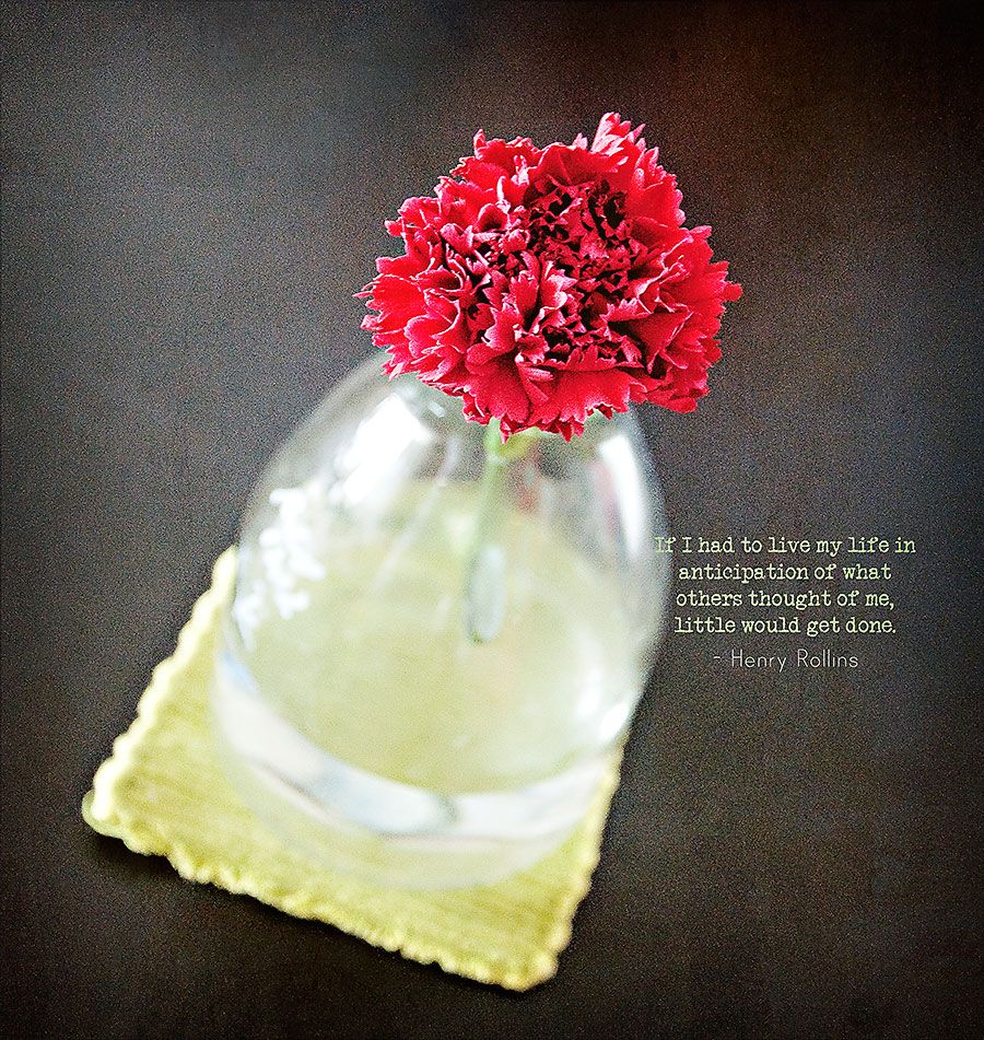 Mon - Jun 23, 2014 photo Carnation-1_zps220de455.jpg