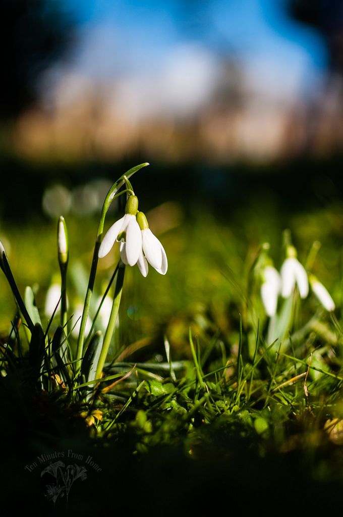 Fri Feb 21st photo 12649071524_cd1195c555_b_zpse63d165f.jpg