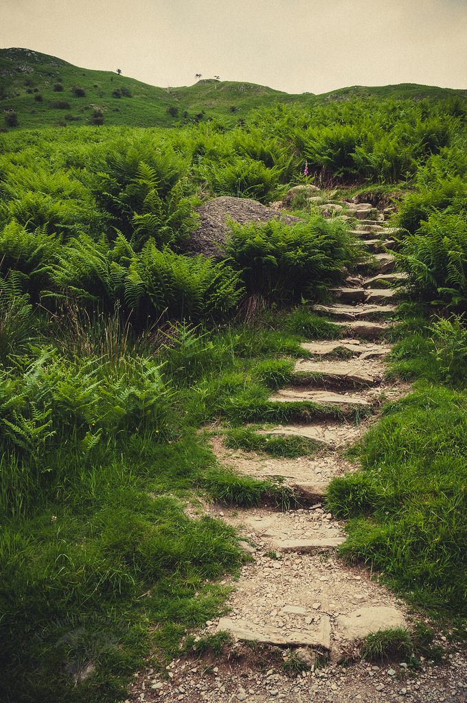 June photo 14252373327_3e18c9f38b_b_zps01f9c3e2.jpg