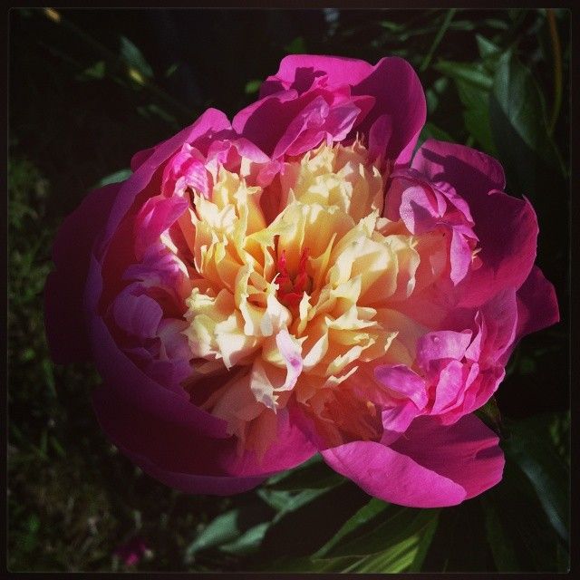 Mon June 2nd photo 14300385016_70ffc165f5_o_zps1c285813.jpg