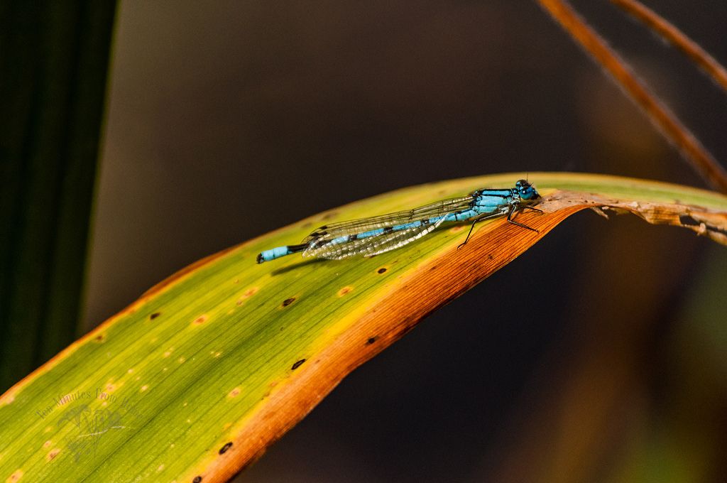 SUMMER photo 14685676017_6379a28996_b_zpsc539482e.jpg