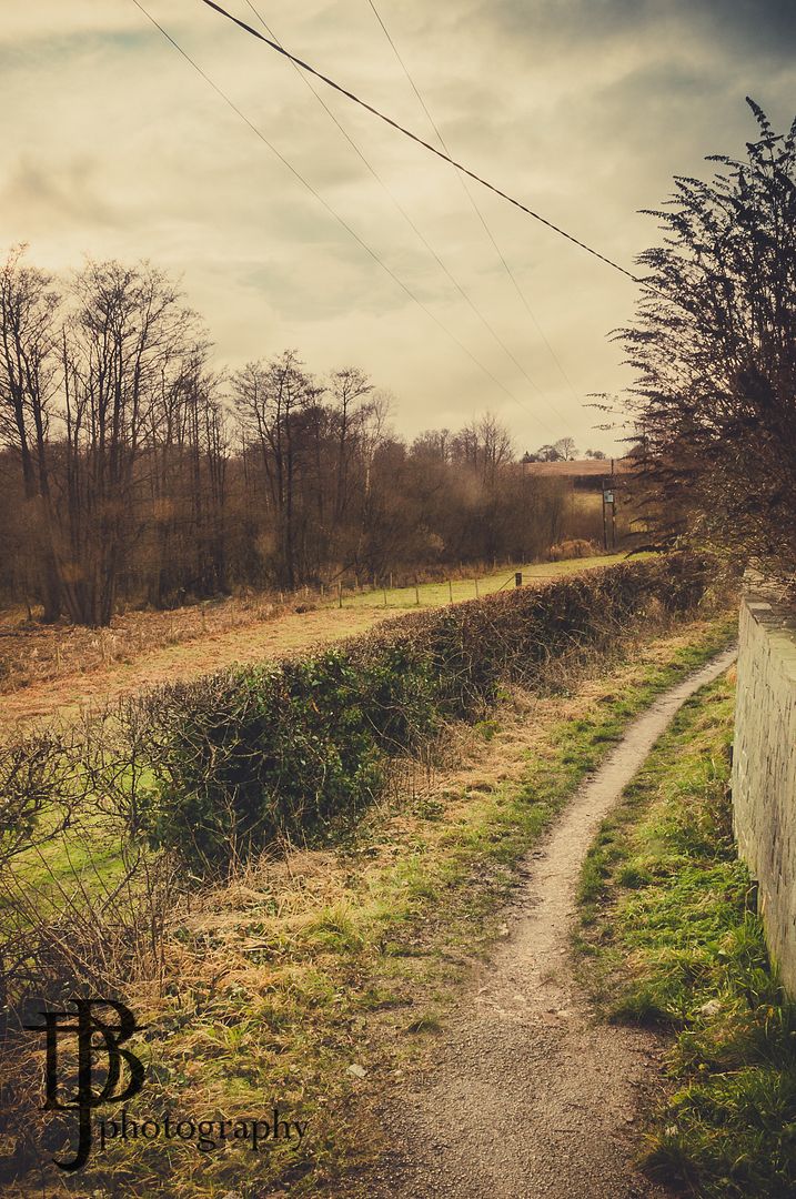 Mon Feb 17th photo untitled-3259_zps71911044.jpg