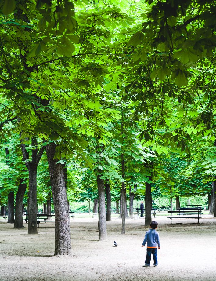 09 June 2014 photo LMV-CG-Paris-Luxembourg-Gardens_zps1763ac36.jpg