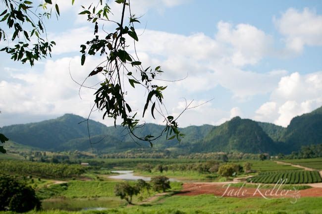 JAN 17: Taking a trip to Chiang Rai photo 2c9e081f-5d5e-444b-8304-360b3beb98c9_zps0c5dec5d.jpg