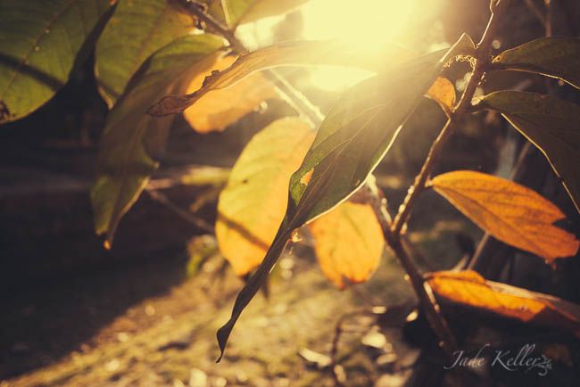 FEB 10 photo _1060028_zps4faf78ed.jpg